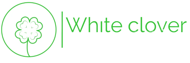 IT Services